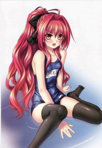 BUY NEW shinkyoku soukai polyphonica - 179073 Premium Anime Print Poster